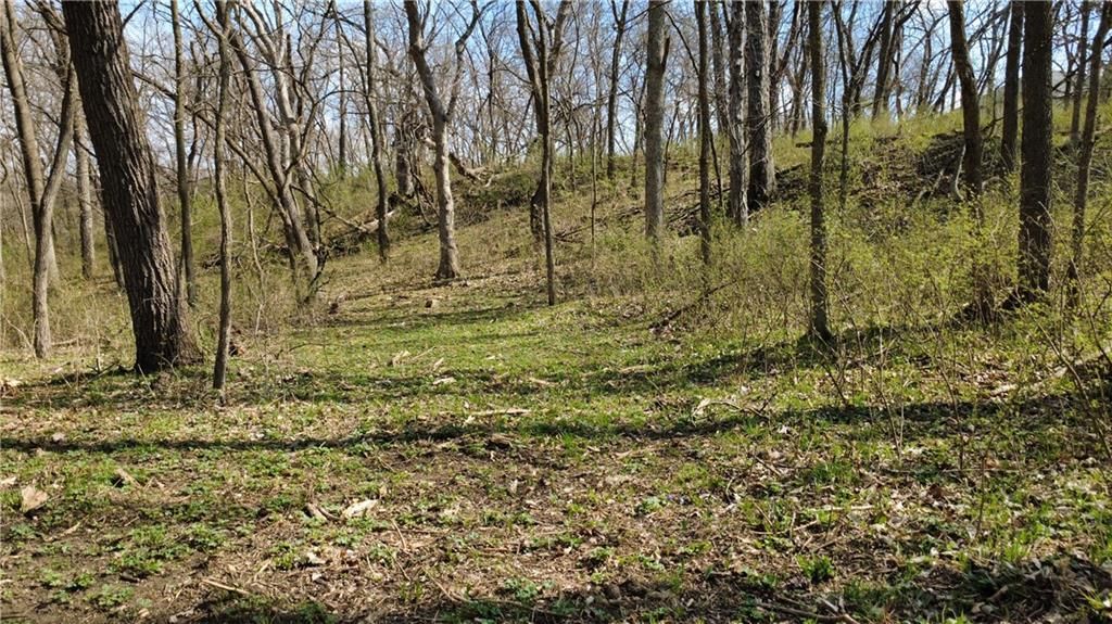 1611 Sunrise Drive — photo 4