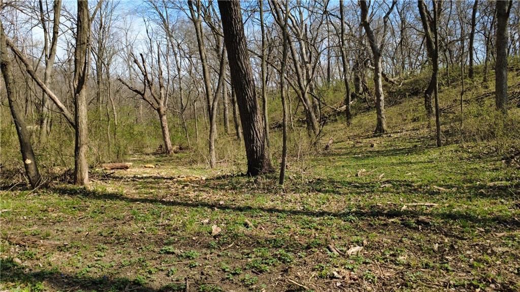 1611 Sunrise Drive — photo 5