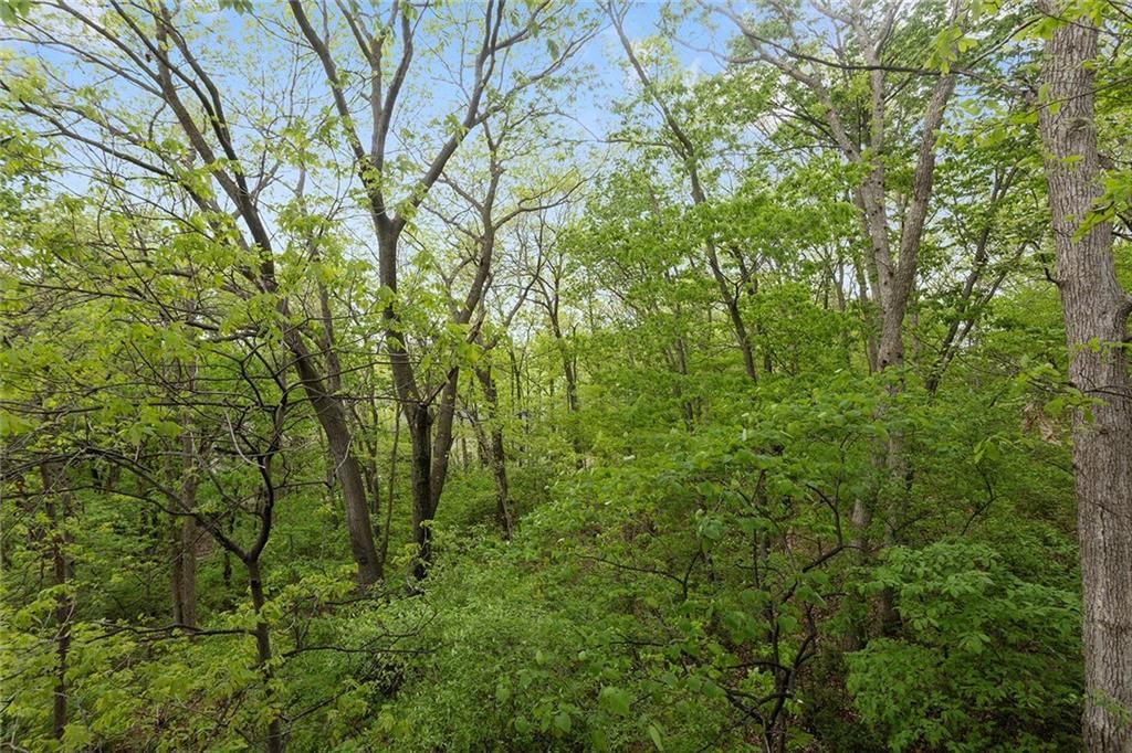 10200 Magnolia Lane — photo 54