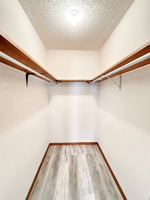 1303 S Forest Street — photo 28