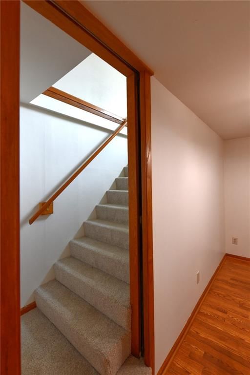 4455 Cambridge Street — photo 18