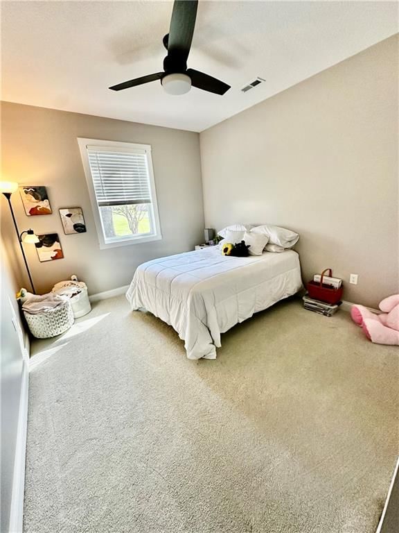 Photo 45 of 59 - 186 N Sunset Drive, Maryville, MO 64468