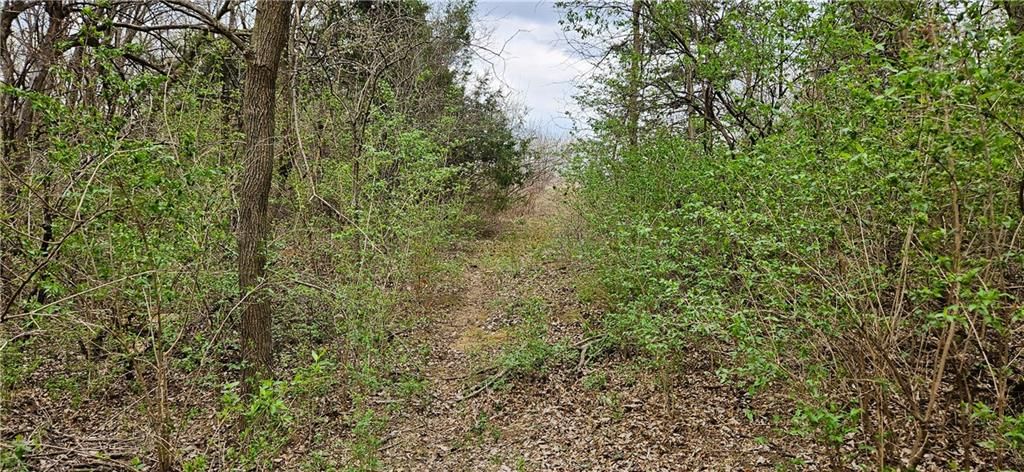 00000 S State Route D Highway — photo 18