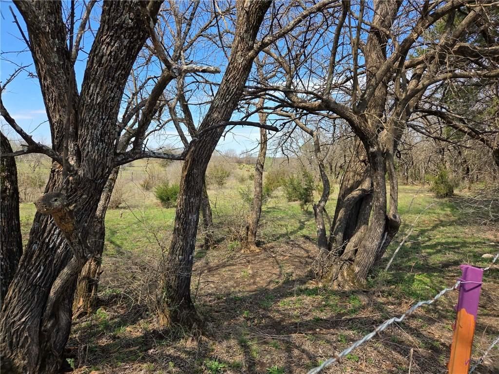 1449 Indian Road — photo 4
