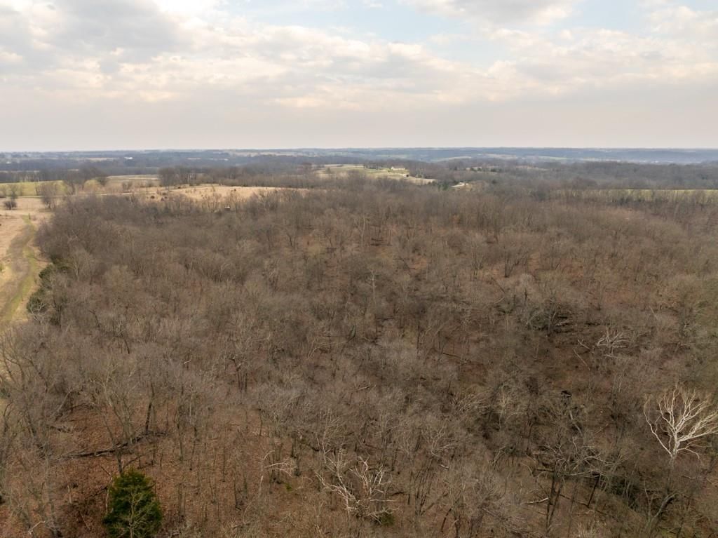TBD Rattlesnake Road — photo 11