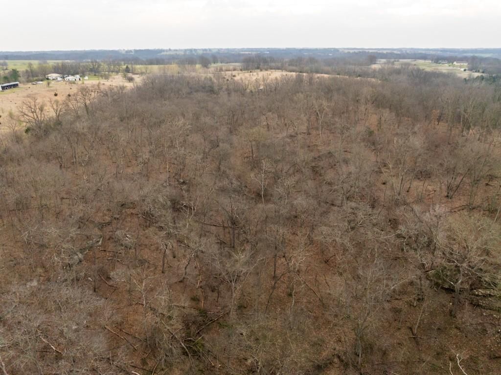 TBD Rattlesnake Road — photo 12