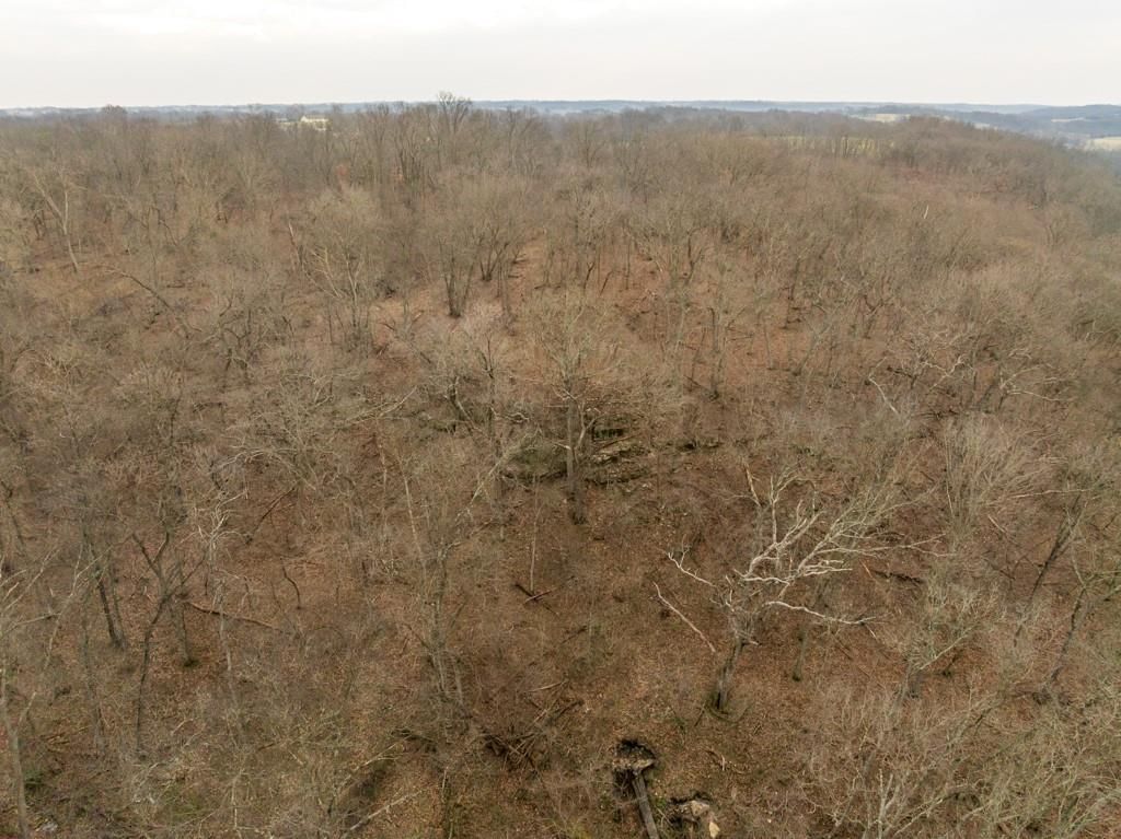 TBD Rattlesnake Road — photo 13