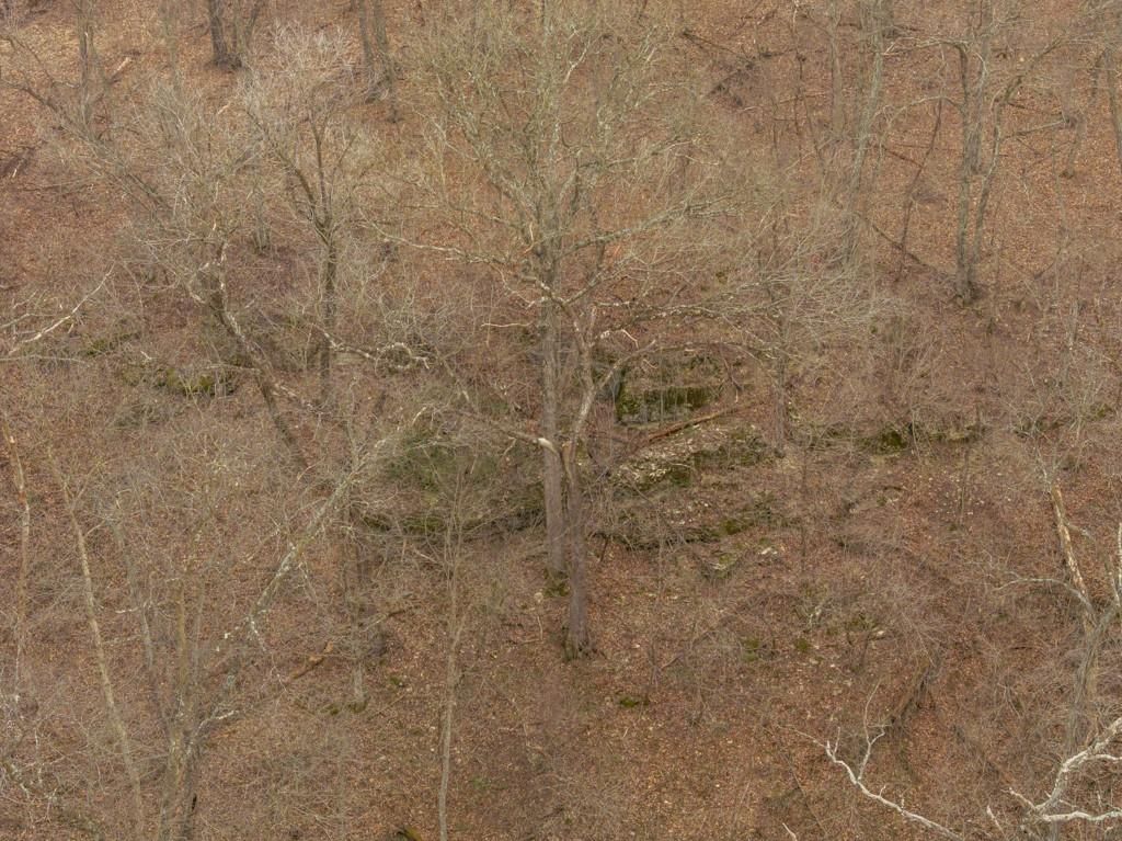 TBD Rattlesnake Road — photo 14