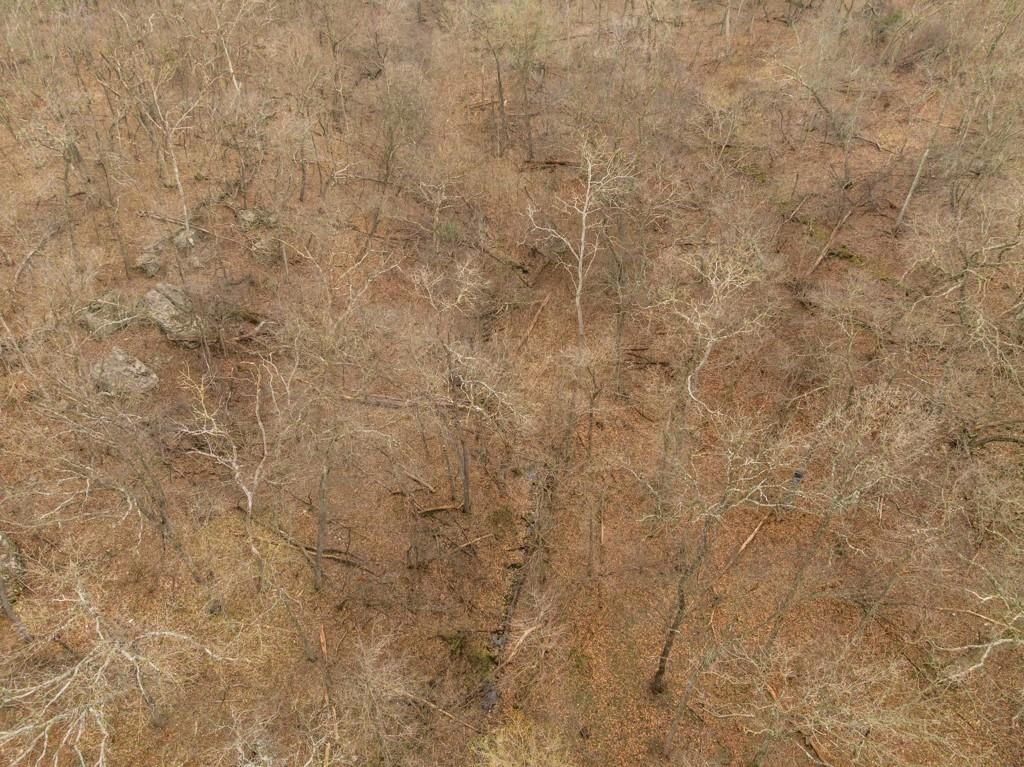 TBD Rattlesnake Road — photo 15