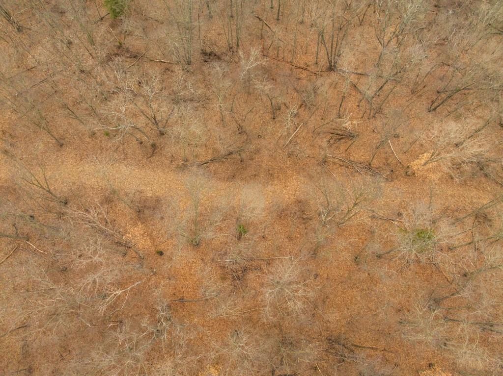 TBD Rattlesnake Road — photo 16