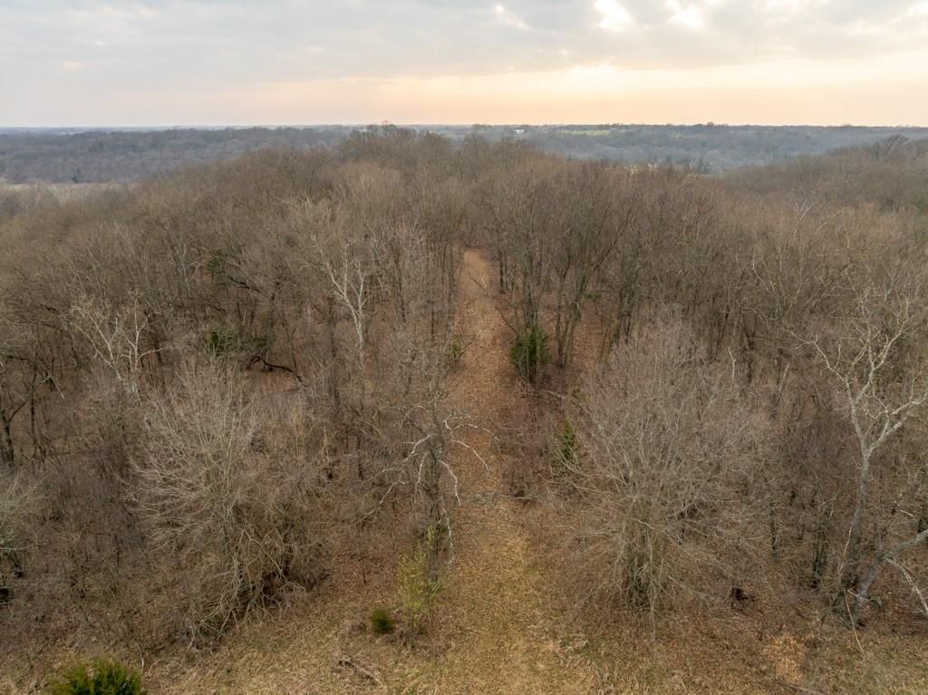 TBD Rattlesnake Road — photo 19