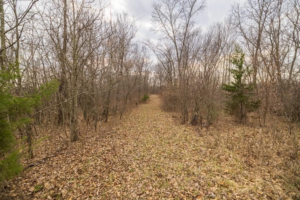TBD Rattlesnake Road — photo 24