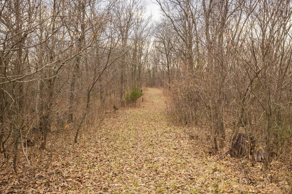 TBD Rattlesnake Road — photo 25
