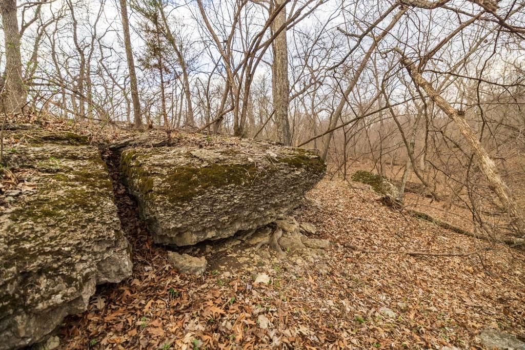 TBD Rattlesnake Road — photo 27