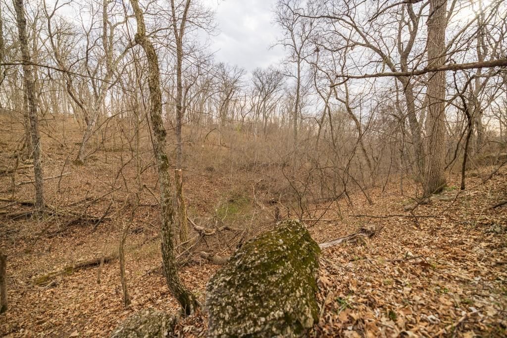TBD Rattlesnake Road — photo 28