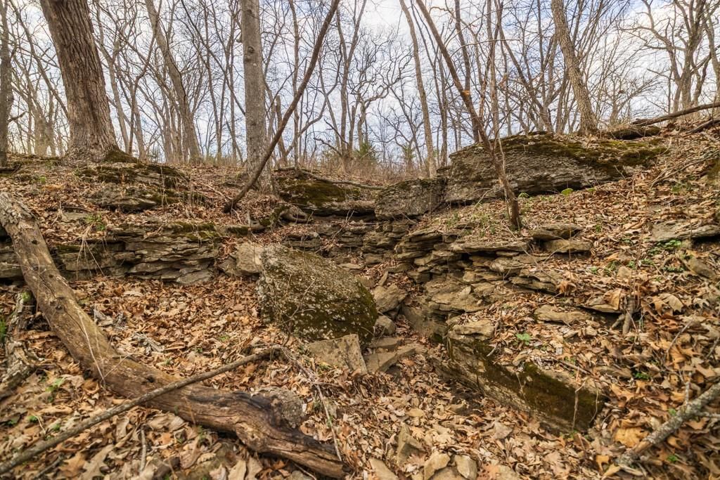 TBD Rattlesnake Road — photo 29