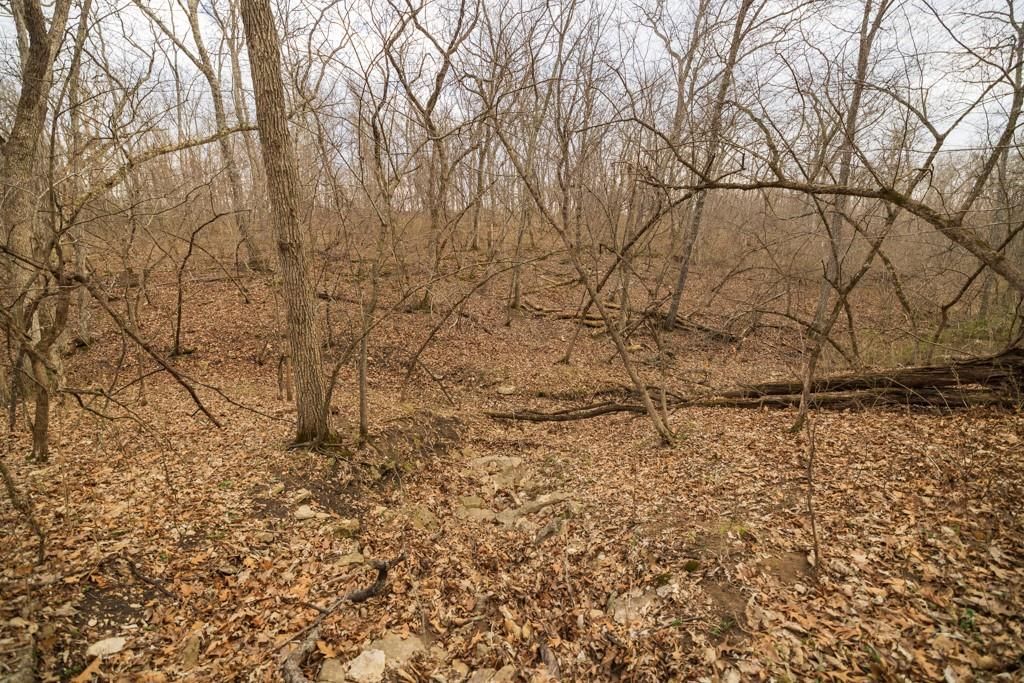 TBD Rattlesnake Road — photo 31