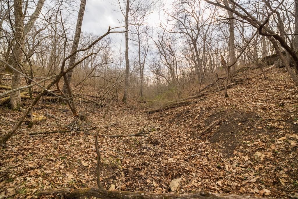 TBD Rattlesnake Road — photo 32