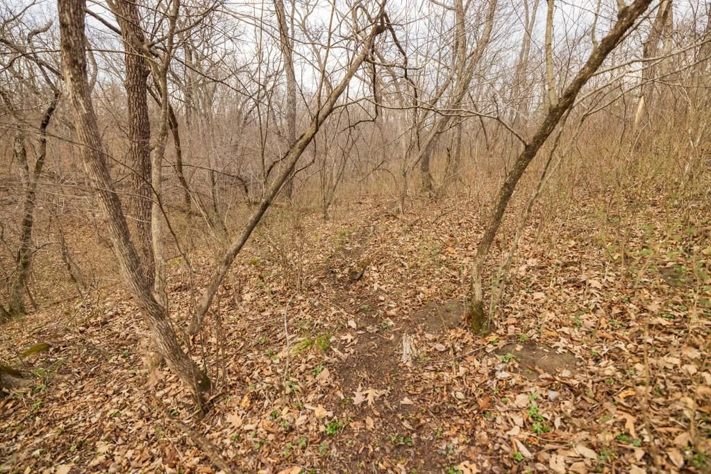 TBD Rattlesnake Road — photo 33