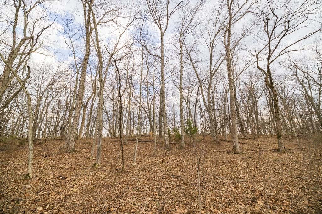 TBD Rattlesnake Road — photo 34