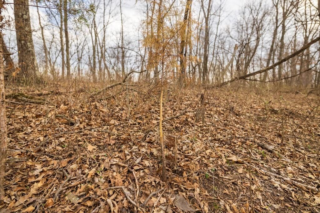 TBD Rattlesnake Road — photo 35