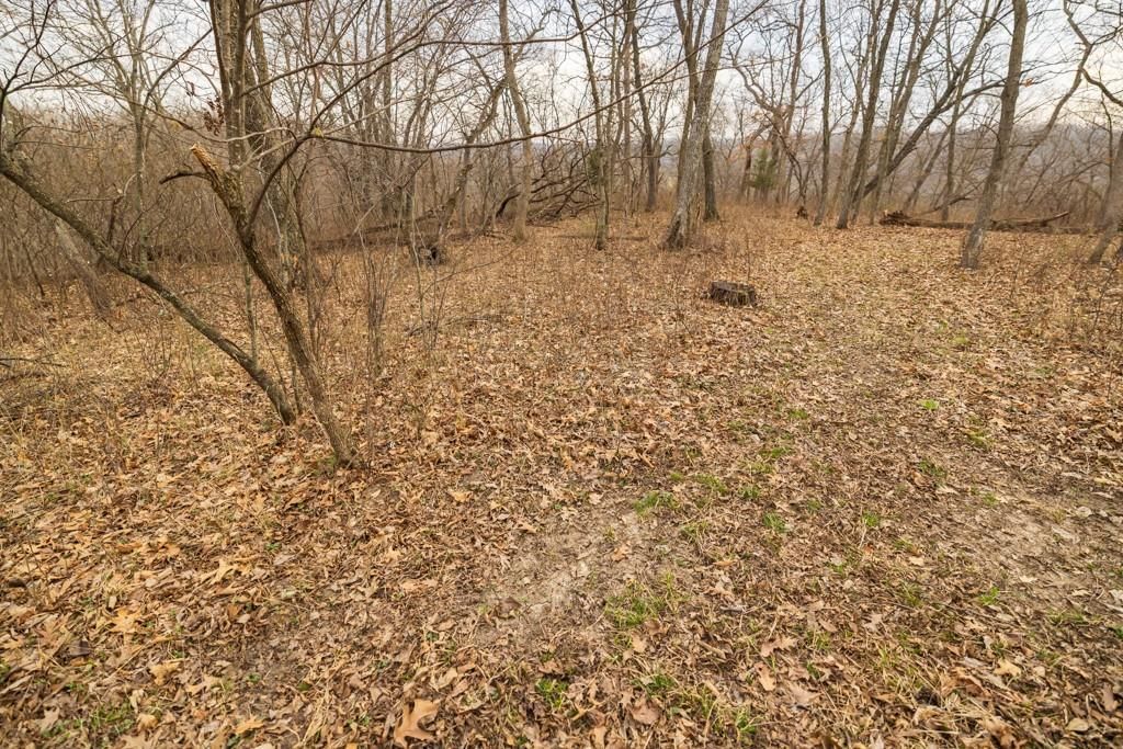 TBD Rattlesnake Road — photo 36