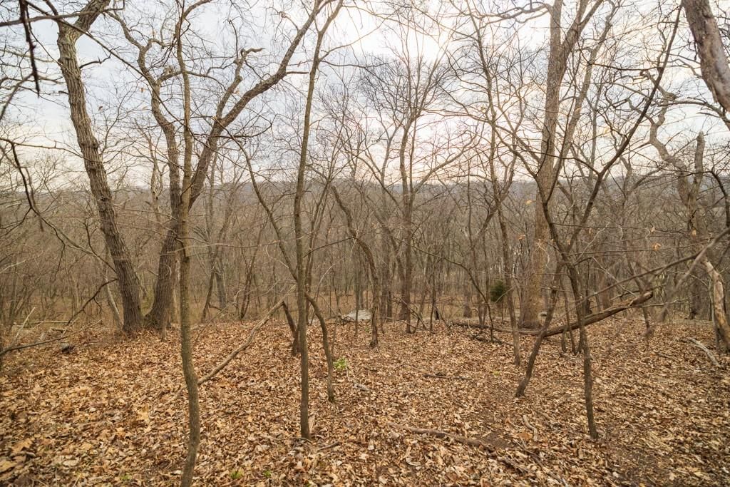 TBD Rattlesnake Road — photo 37