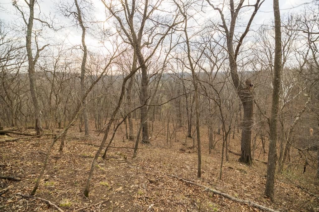 TBD Rattlesnake Road — photo 38