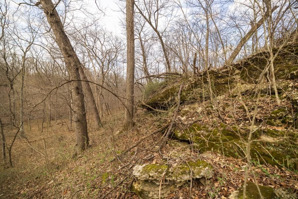 TBD Rattlesnake Road — photo 39