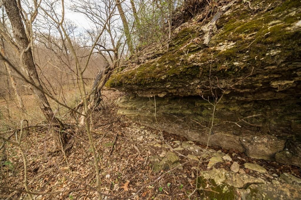 TBD Rattlesnake Road — photo 40