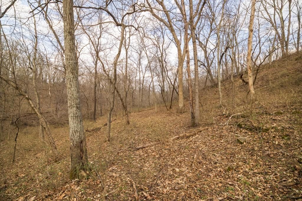 TBD Rattlesnake Road — photo 41