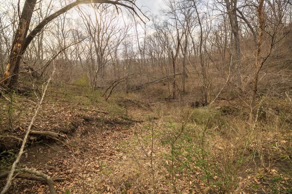 TBD Rattlesnake Road — photo 42