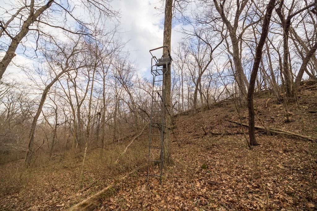 TBD Rattlesnake Road — photo 46