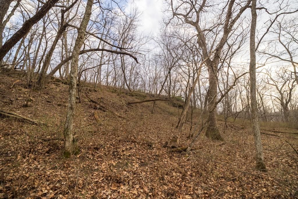 TBD Rattlesnake Road — photo 47