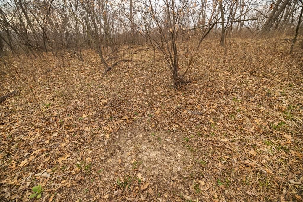 TBD Rattlesnake Road — photo 48