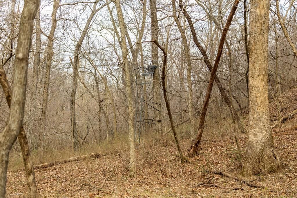 TBD Rattlesnake Road — photo 53