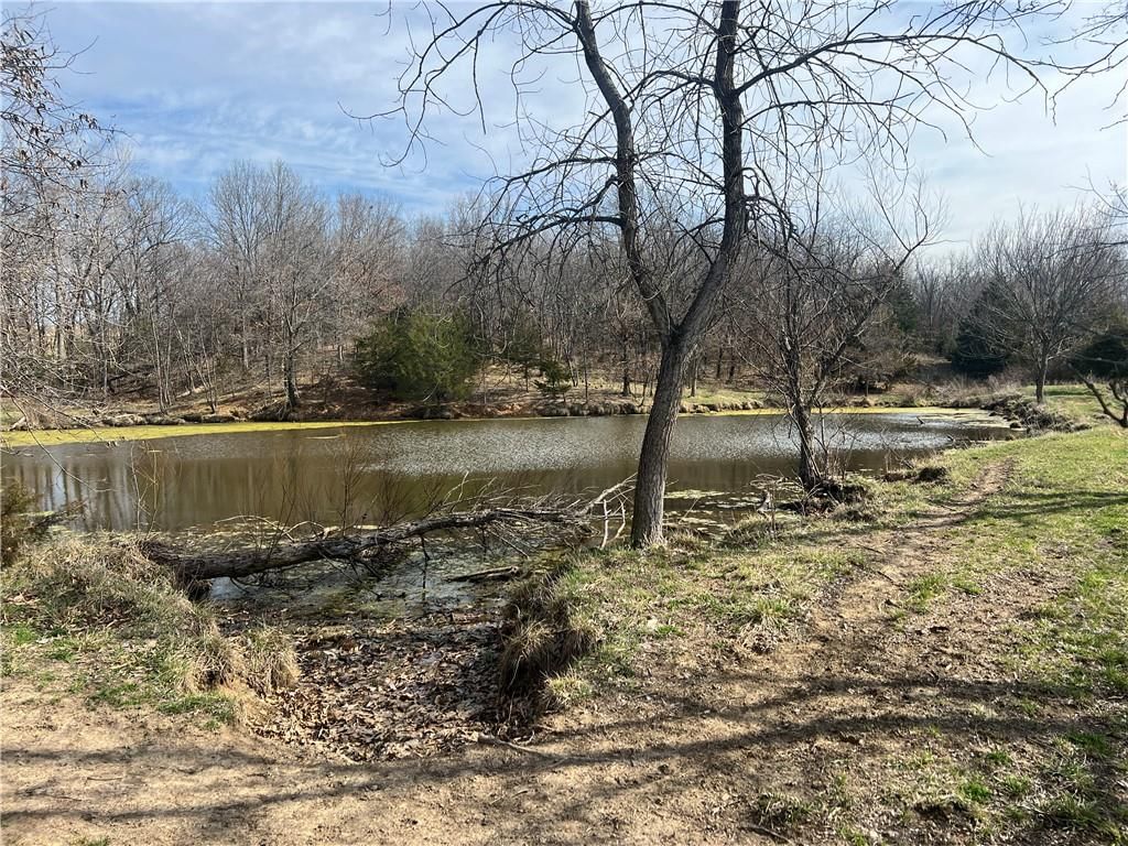 Petty Mill Trail — photo 3