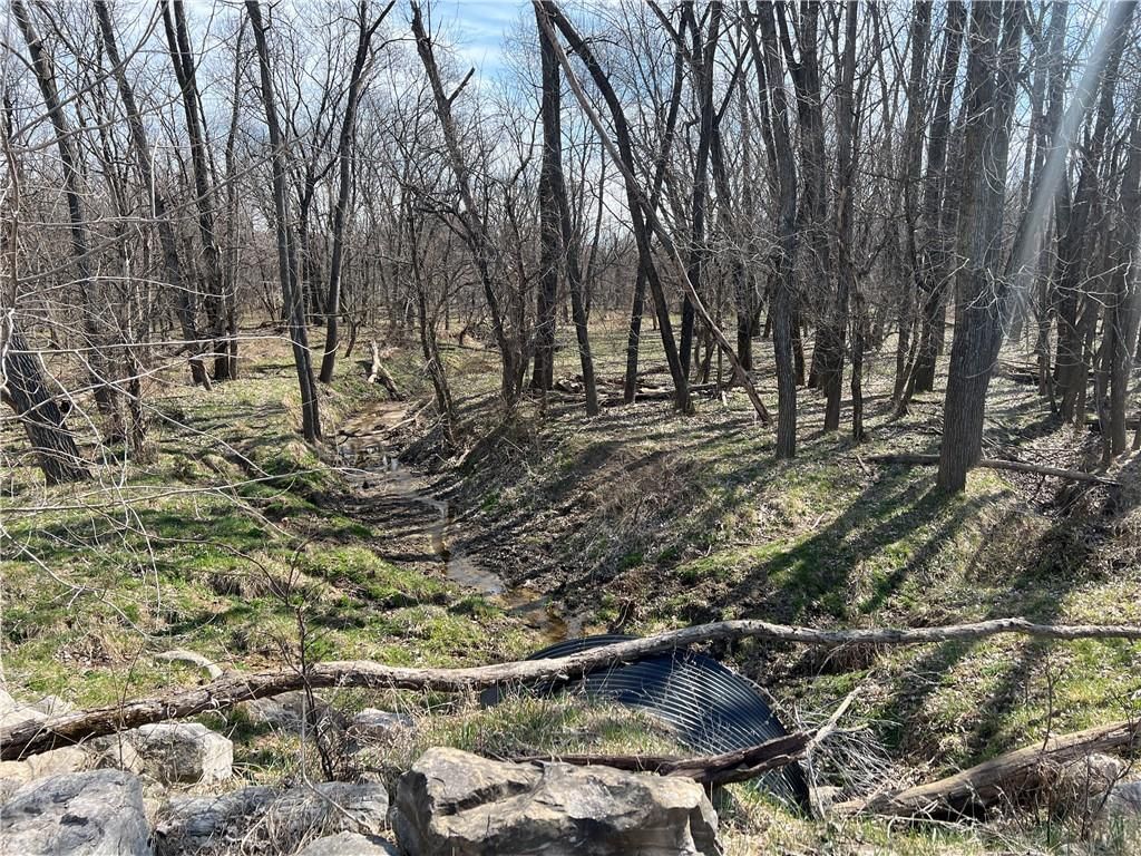 Petty Mill Trail — photo 4