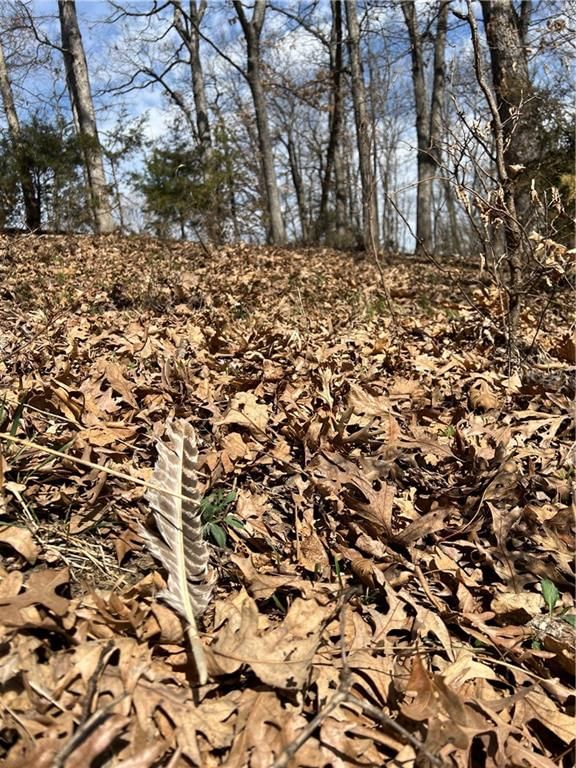 Petty Mill Trail — photo 7