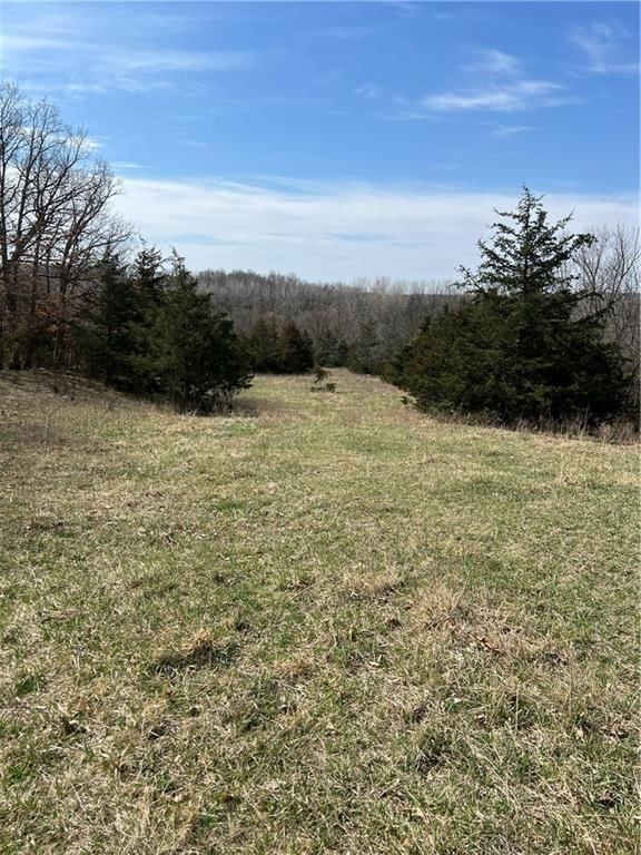 Petty Mill Trail — photo 8