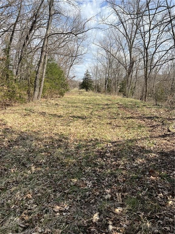 Petty Mill Trail — photo 9
