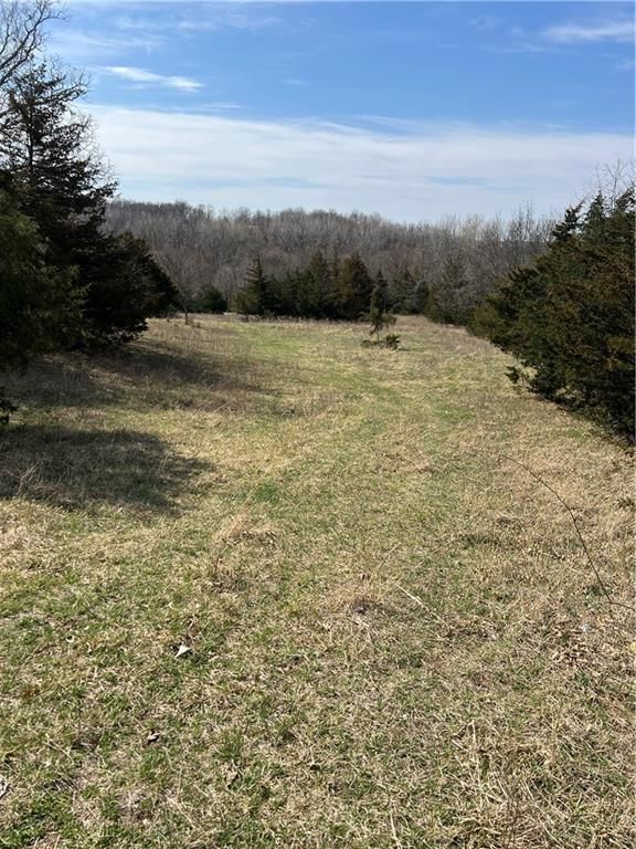 Petty Mill Trail — photo 12