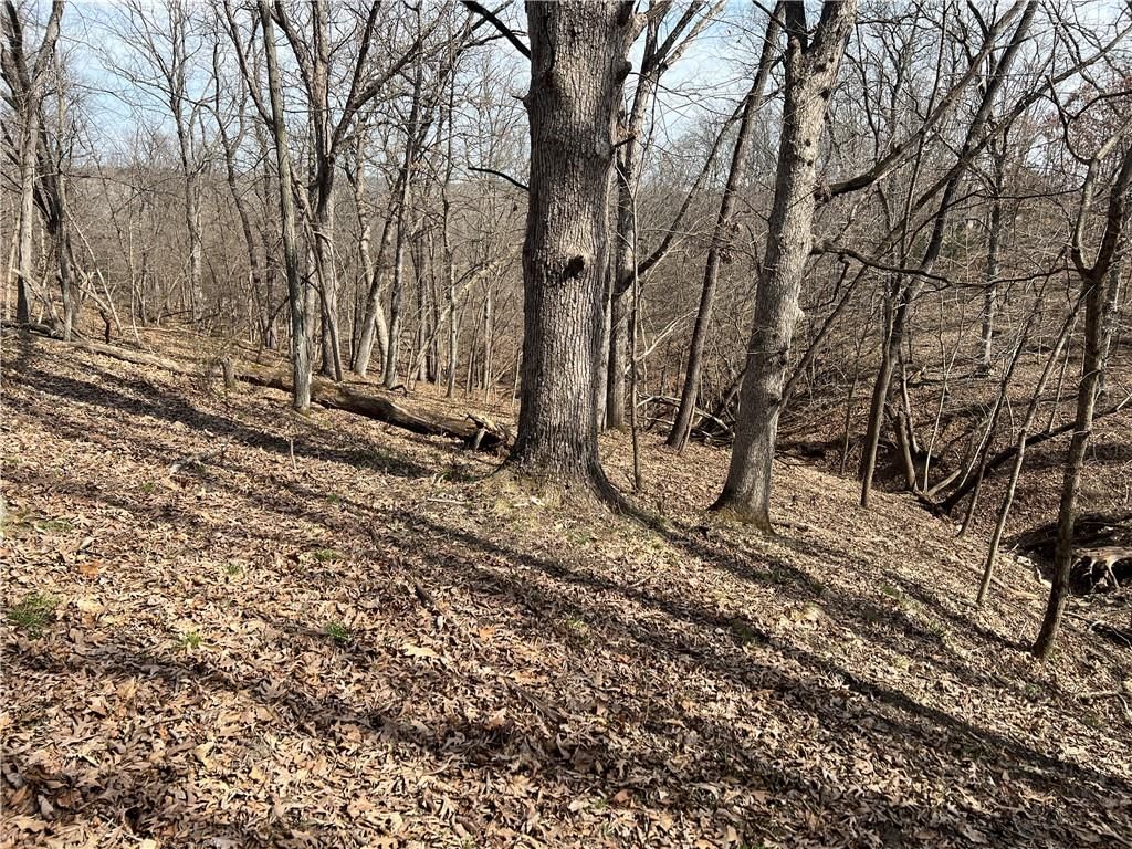 Petty Mill Trail — photo 14