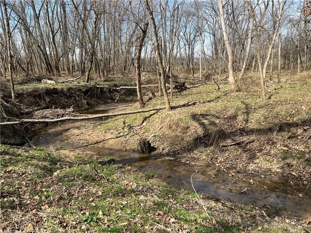 Petty Mill Trail — photo 15