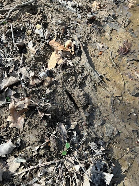 Petty Mill Trail — photo 18