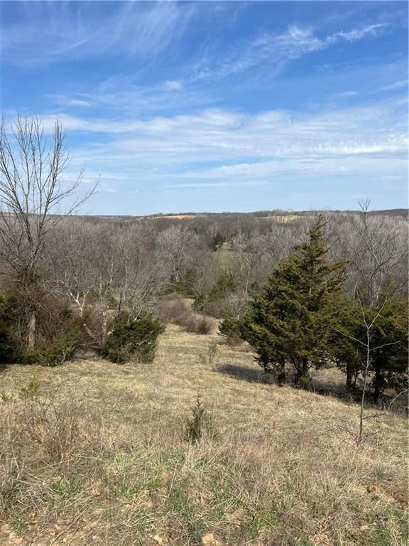 Petty Mill Trail — photo 19