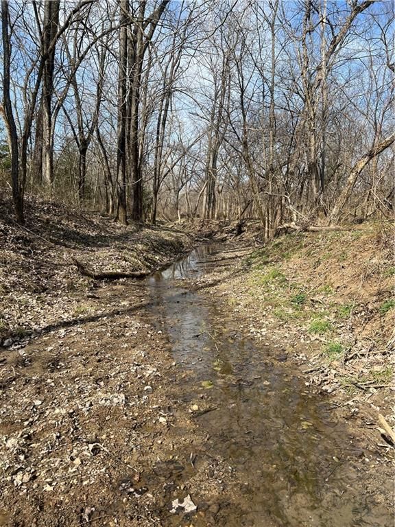 Petty Mill Trail — photo 22
