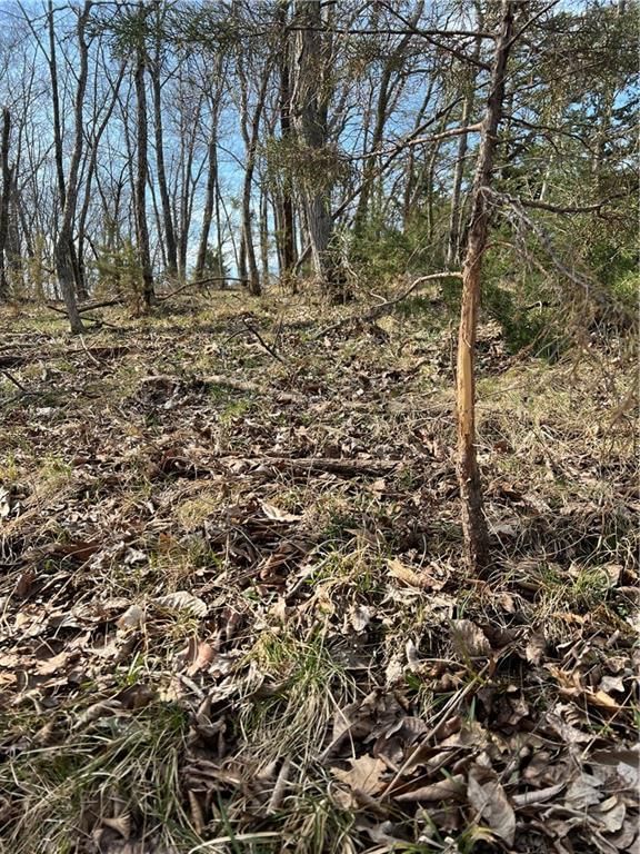 Petty Mill Trail — photo 23