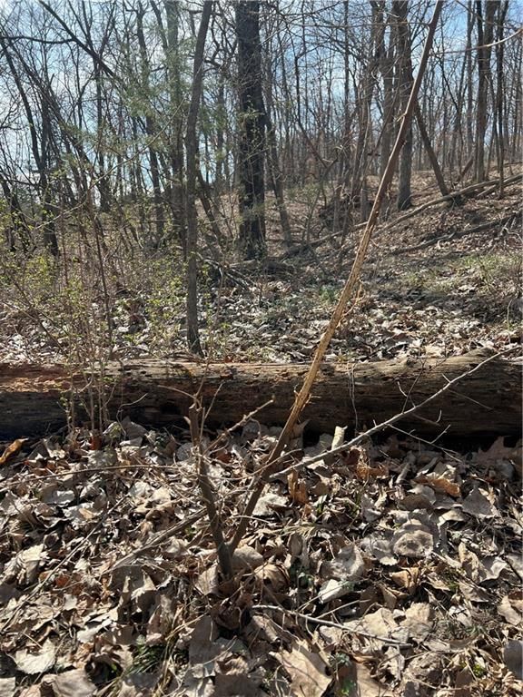 Petty Mill Trail — photo 24