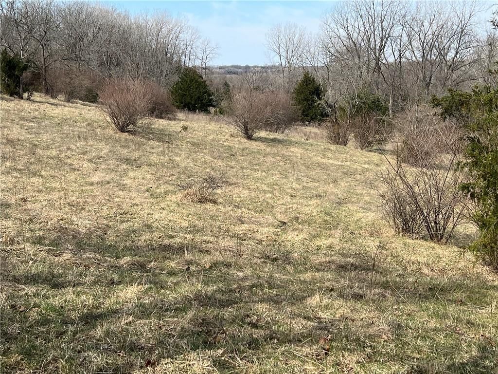 Petty Mill Trail — photo 25